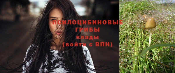 молекула духа Аркадак