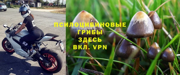 спиды Армянск