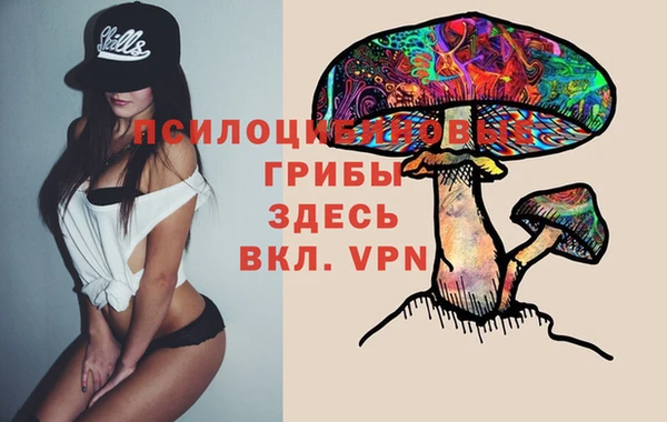 трава Арсеньев