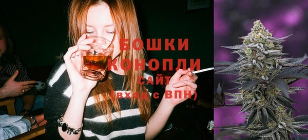 соль ск Богородицк