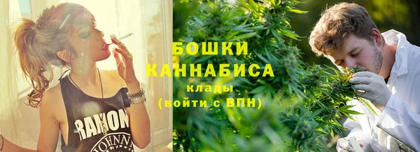 трава Арсеньев