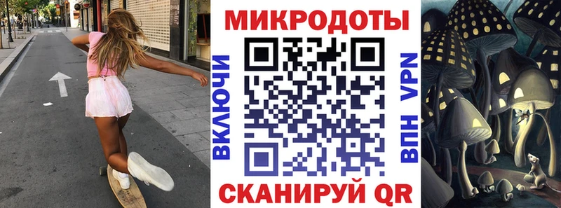 blacksprut ССЫЛКА  Строитель  Галлюциногенные грибы мицелий 